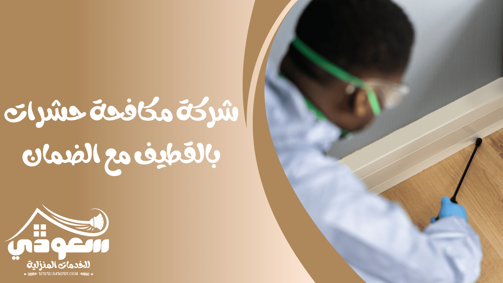 مكافحة حشرات بالقطيف